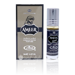 Ameer-1