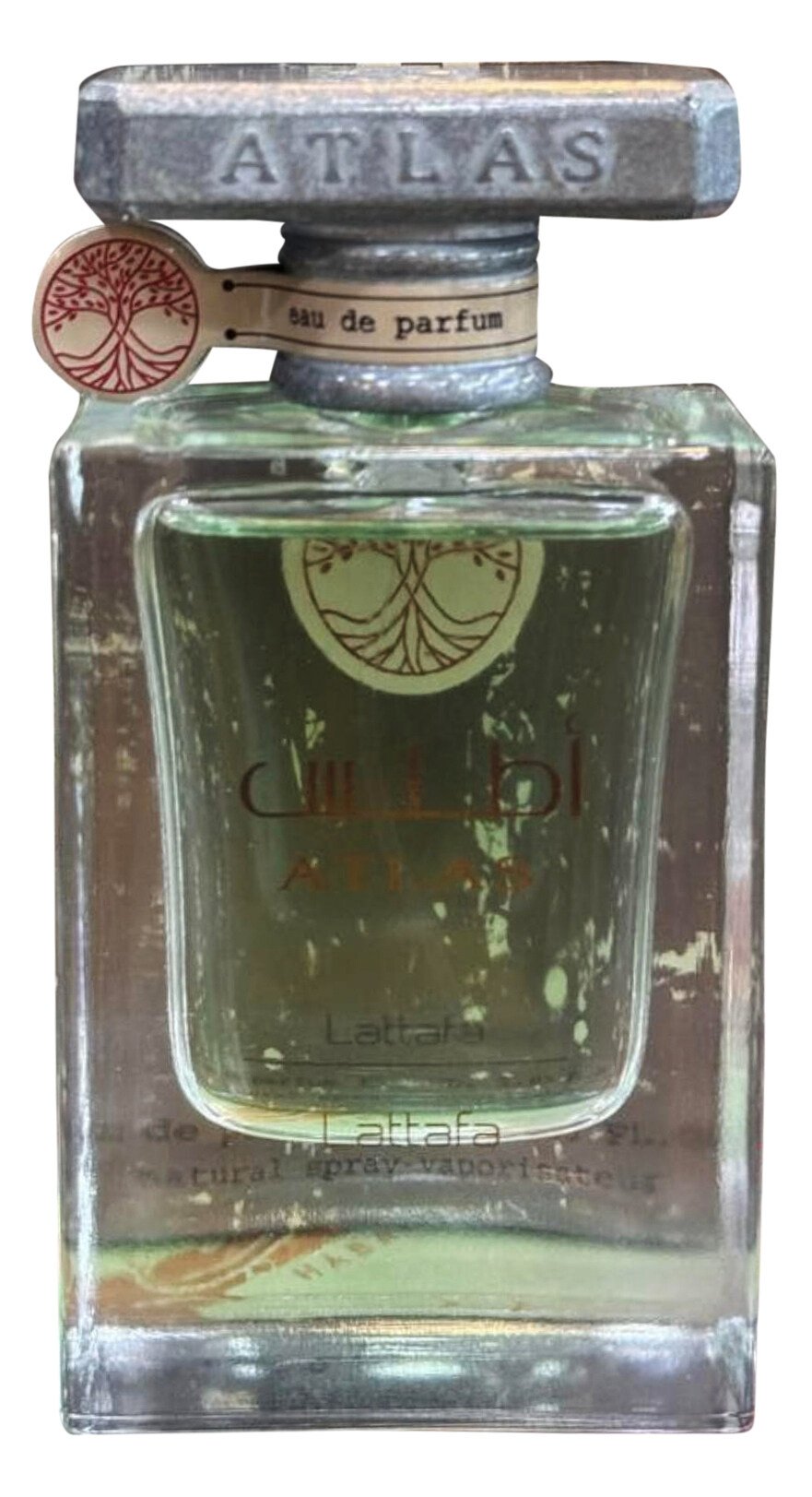 Atlas Eau de Parfum for Everyone-3