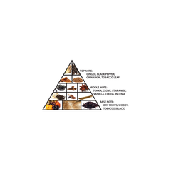 Amber Oud Tobacco Edition 60 mL-2